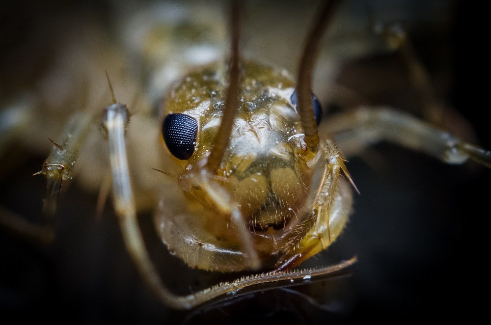 Photograph by Денис Белов