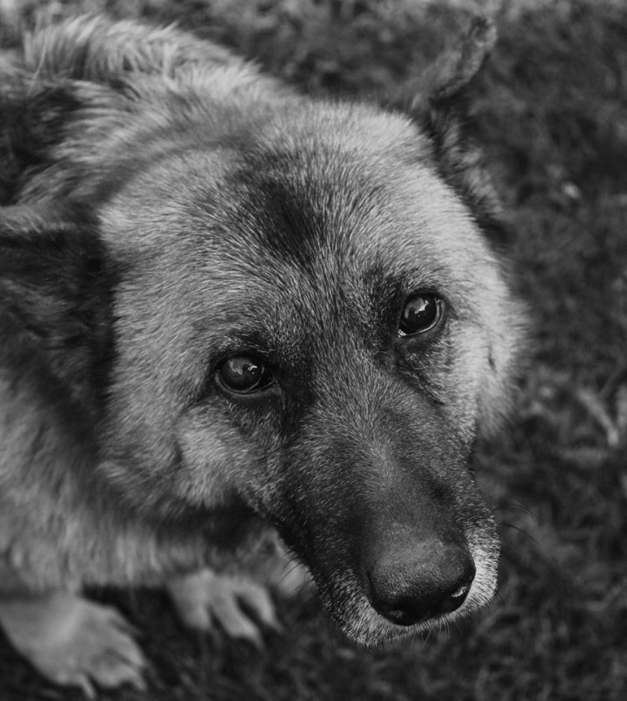 Photograph by Юлія Кучинка