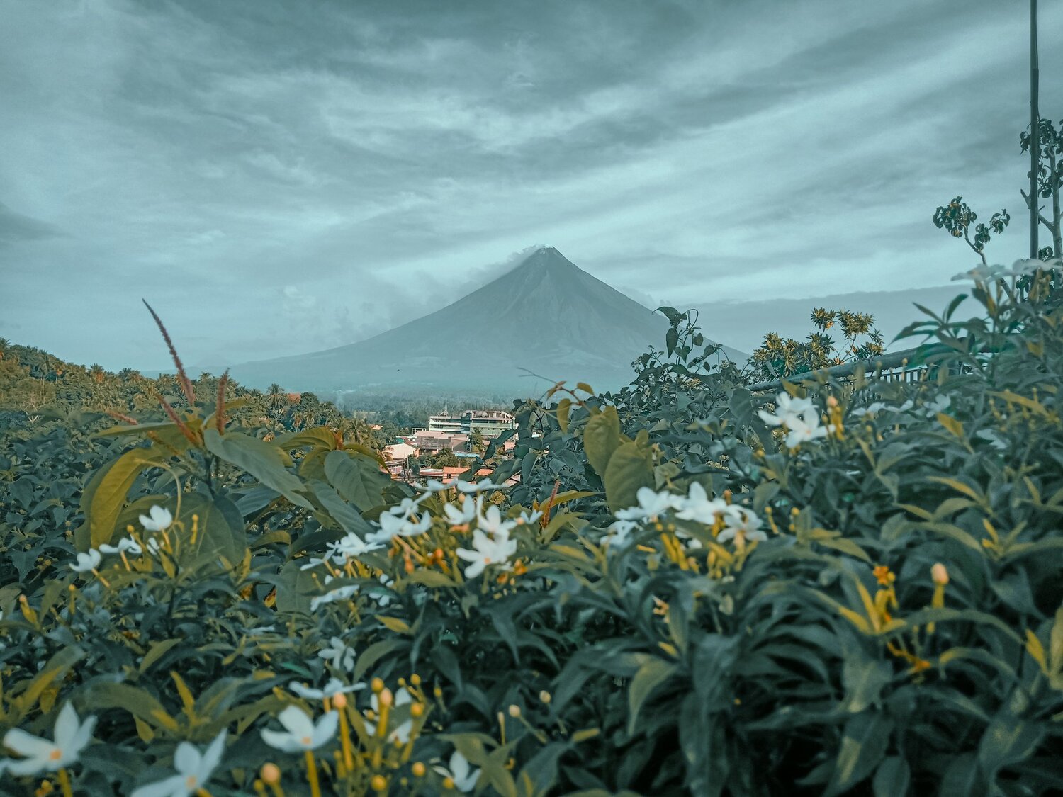 Mount Mayon