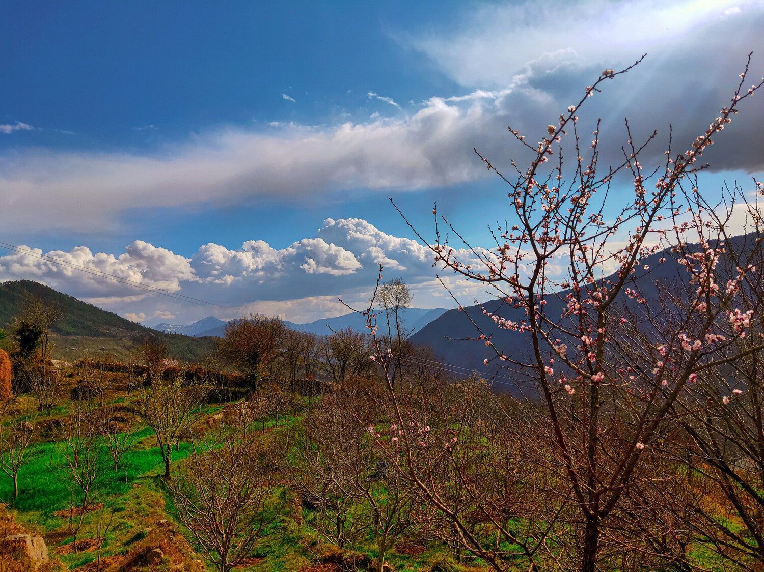 Photo #4545549