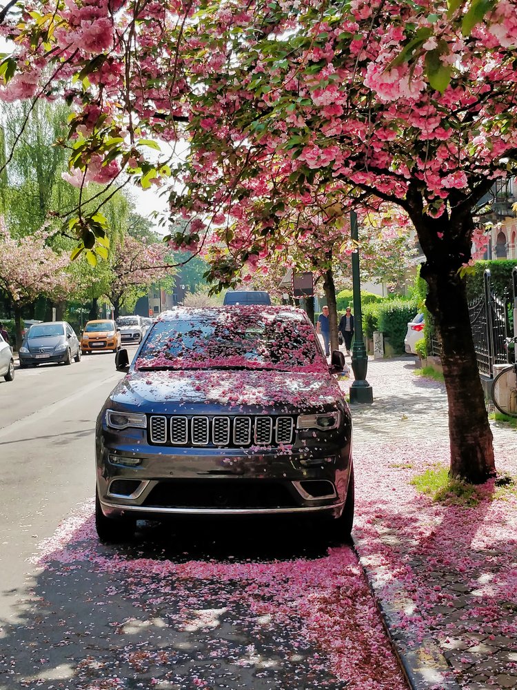 Photograph by Илья Курлин