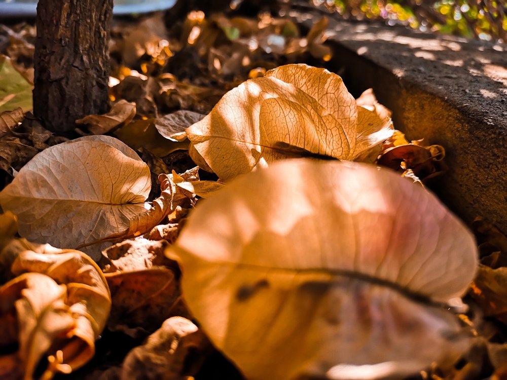 Photograph by Hastina Hapi