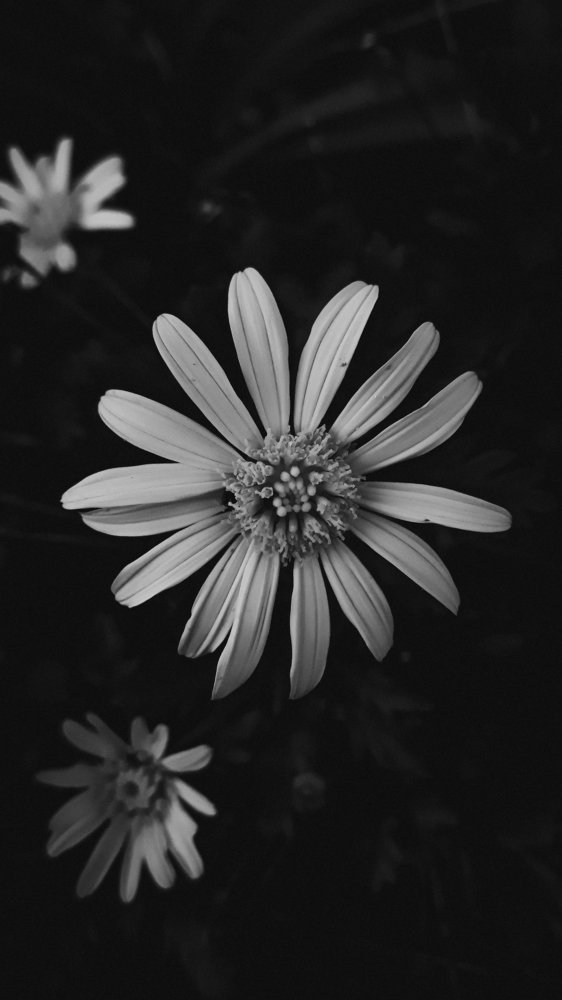 Photograph by Jesus Vasquez