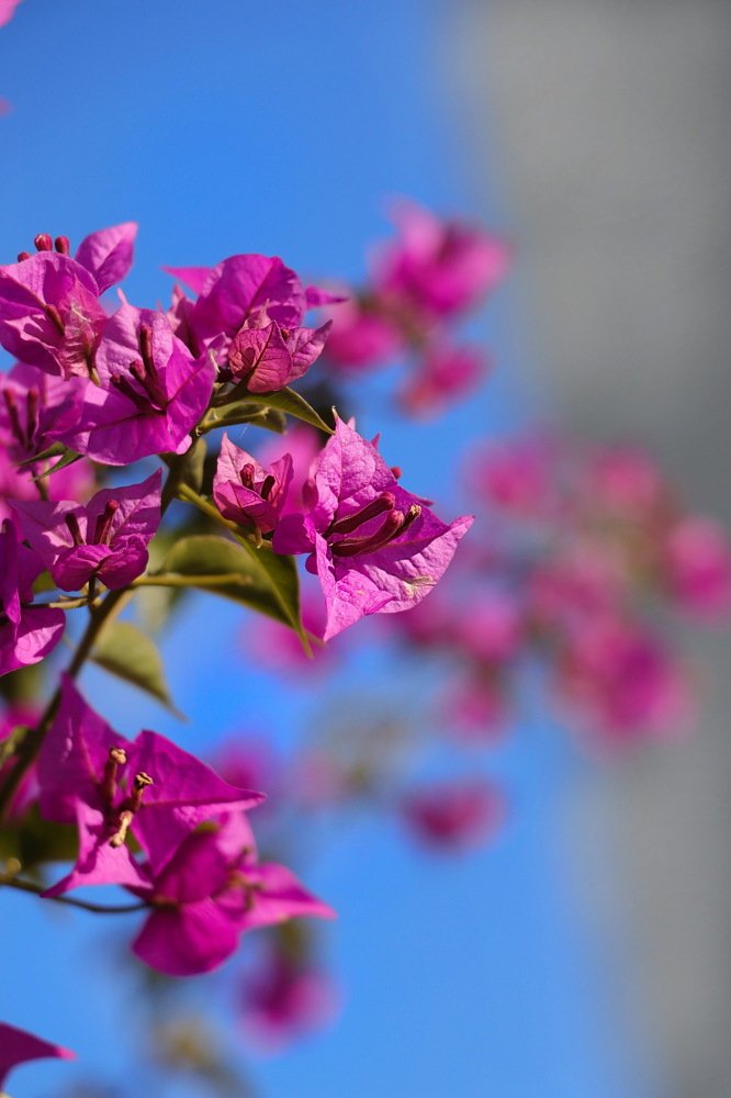 Турецкая зима.