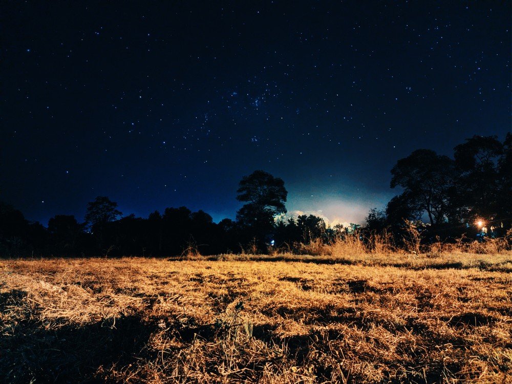 Photo #4545767