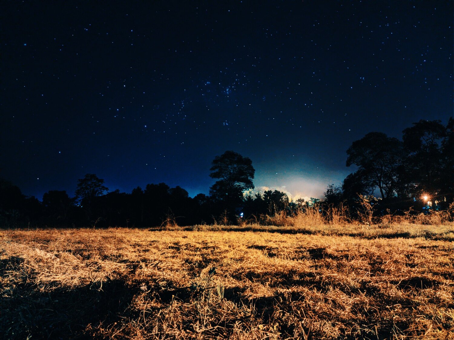 Photo #4545767