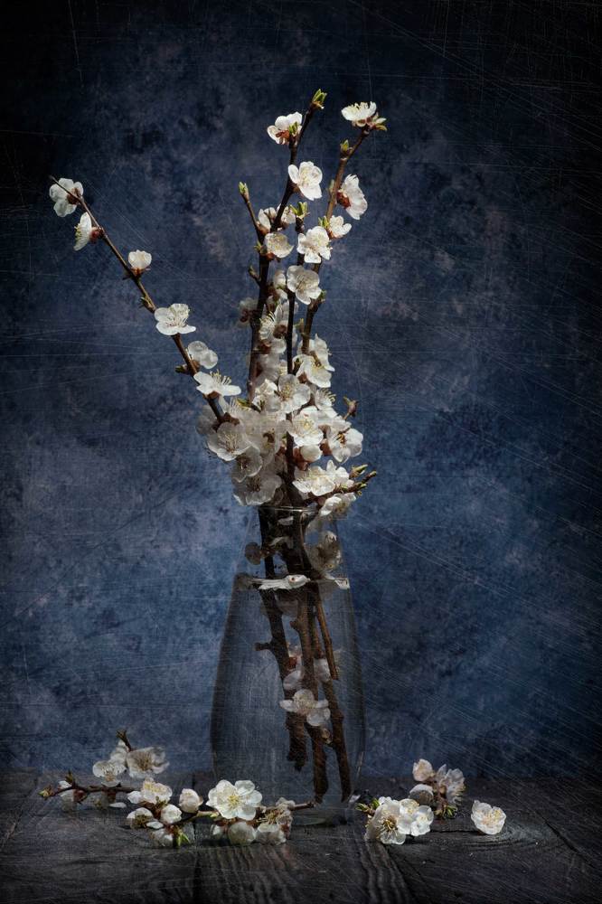 Photograph by Михаил Кудрявцев