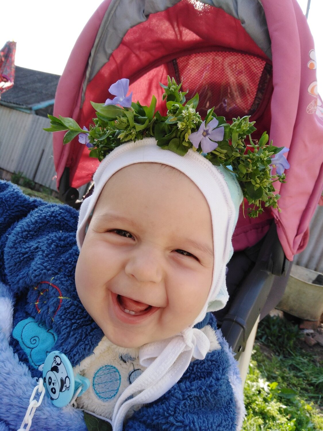 Photo #4545851
