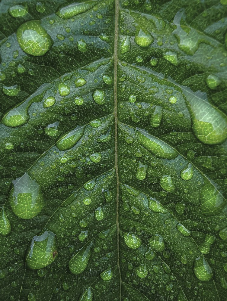 Фотография автора Anil Prabhakar