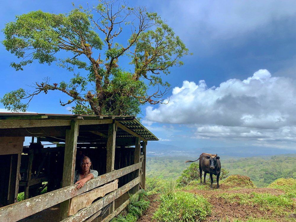Photograph by J. Federico Campos C.