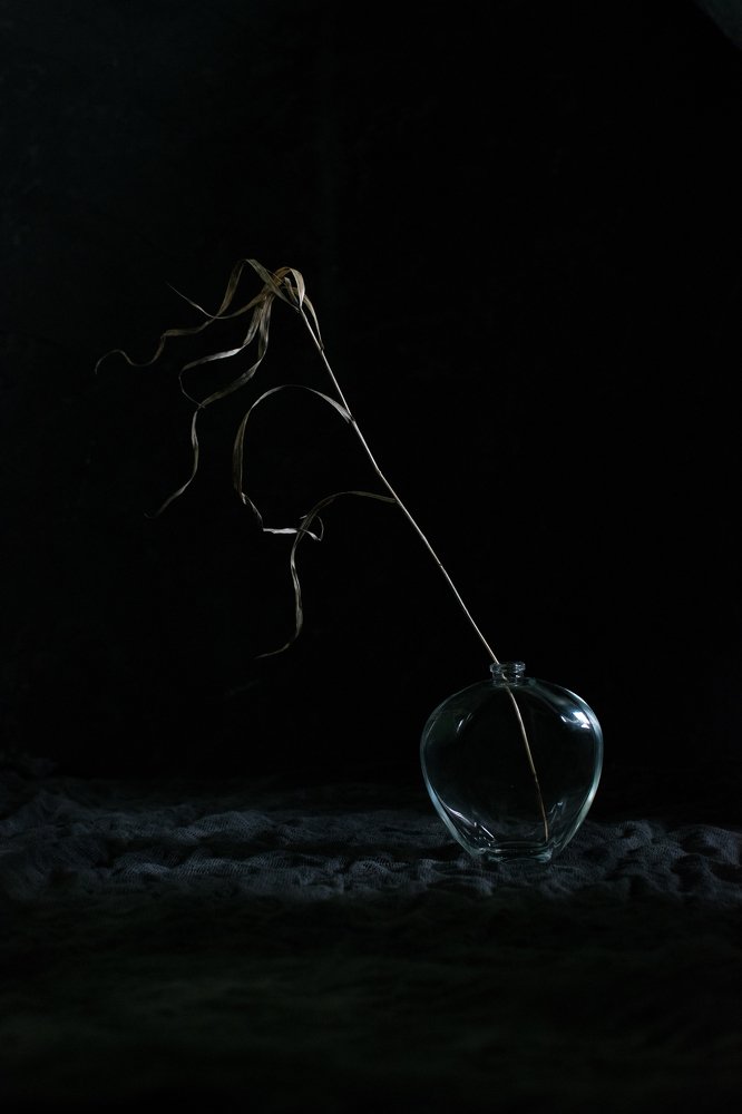 Не забывай обращаться к свету