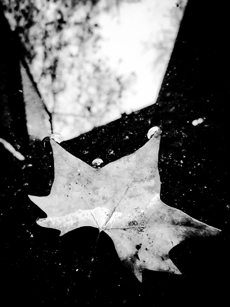 Photograph by Полина Титова