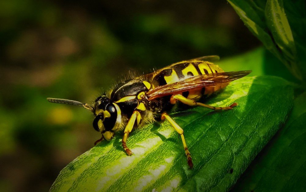 Photograph by Ирина Федорова