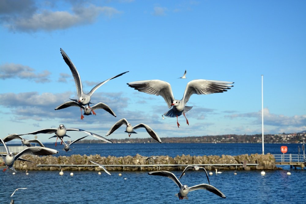 Photograph by Paulo Marques