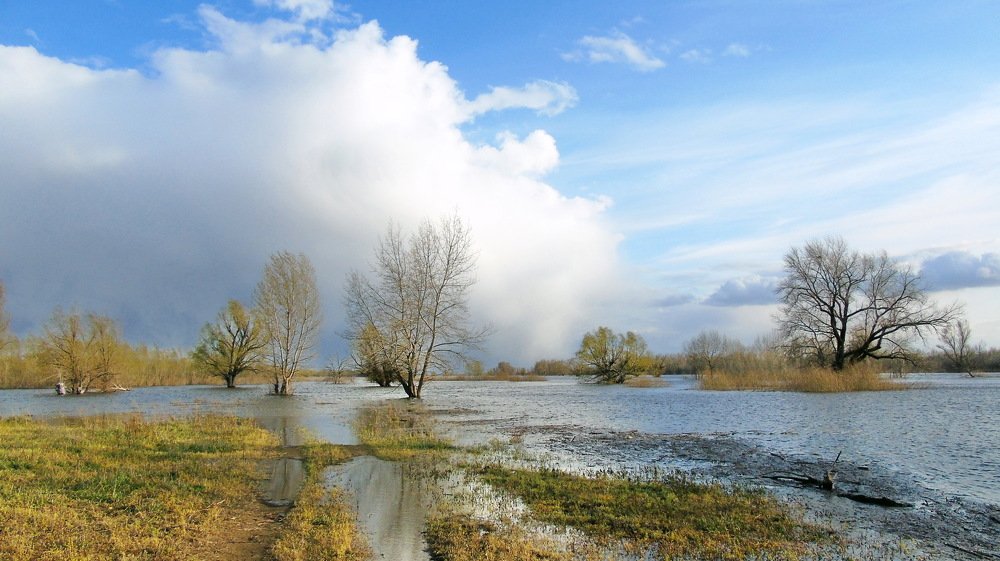 Весна...разлив...