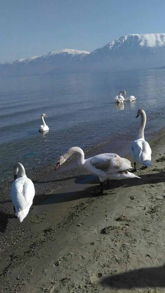 Photograph by Suzana Cakciri