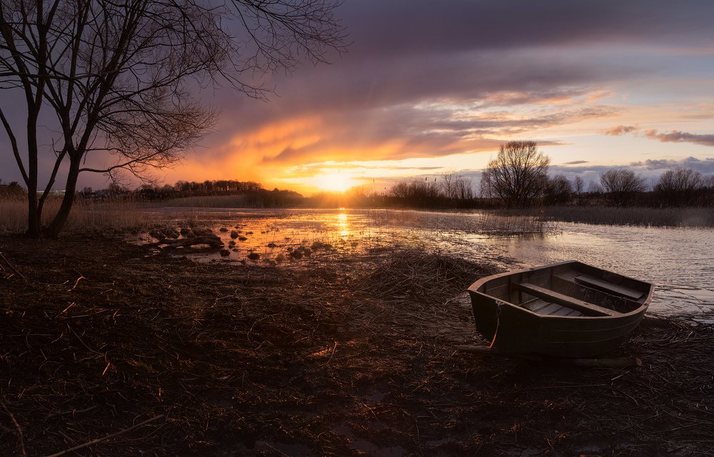 Фотография автора Майя Афзаал