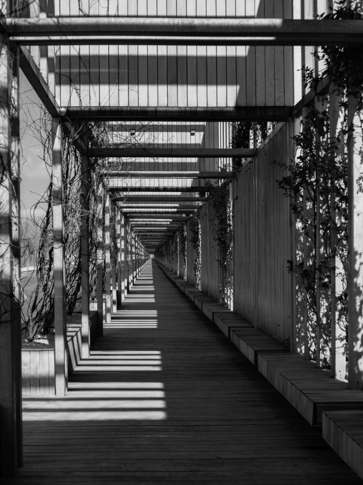 Космос на земле.