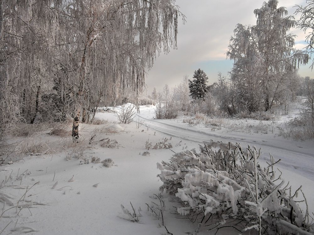 Photograph by Александр Попов