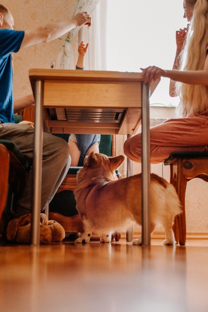 Photograph by Александра Егорова