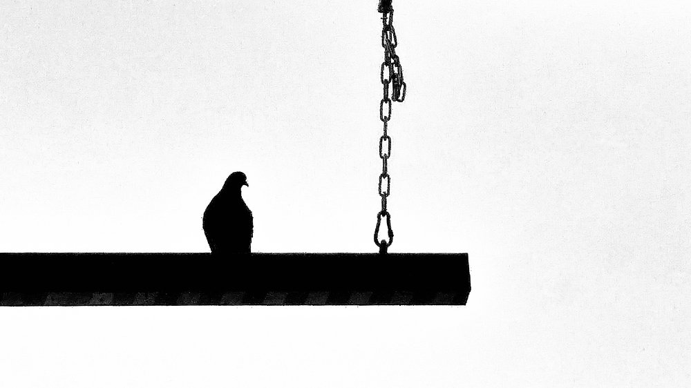 Photograph by Светлана Ковалёнок