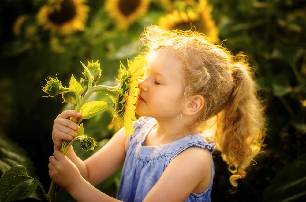 The smell of sunshine