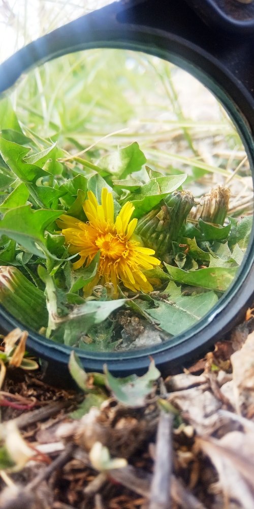 Photograph by Дарья Лазарева