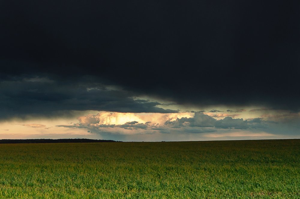 Photograph by Михаил Фенелонов