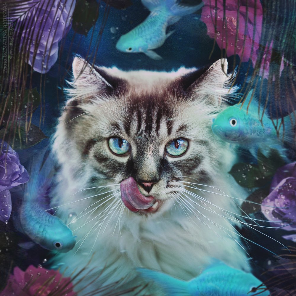 Фотография автора Марина Айдинян