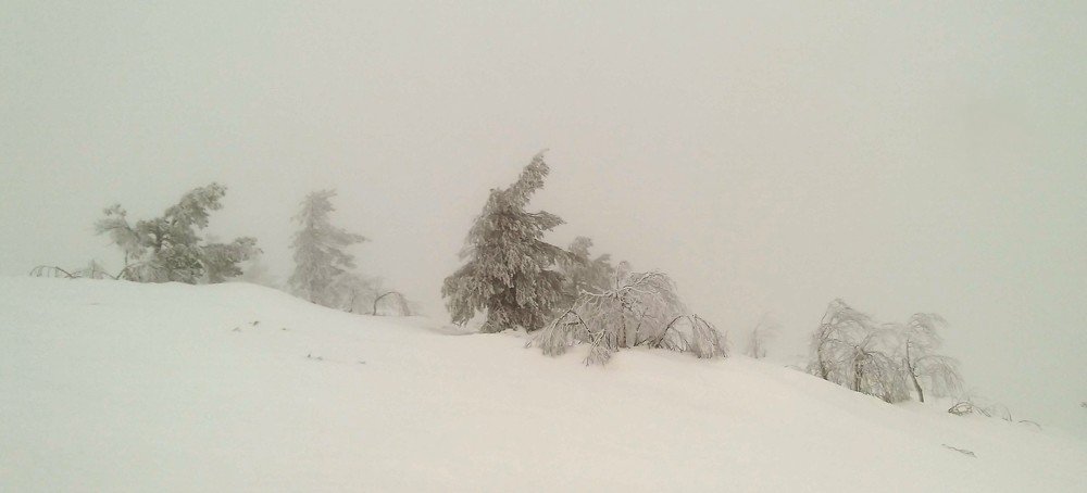 Photograph by Лада Денисова