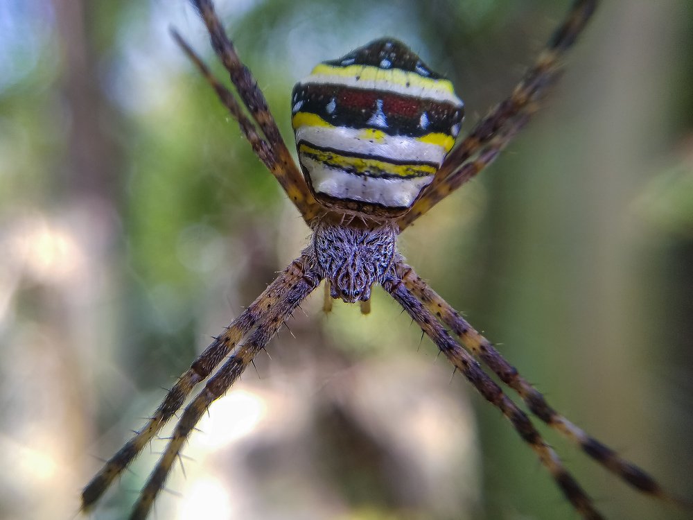 Photograph by Ranjit Mondal