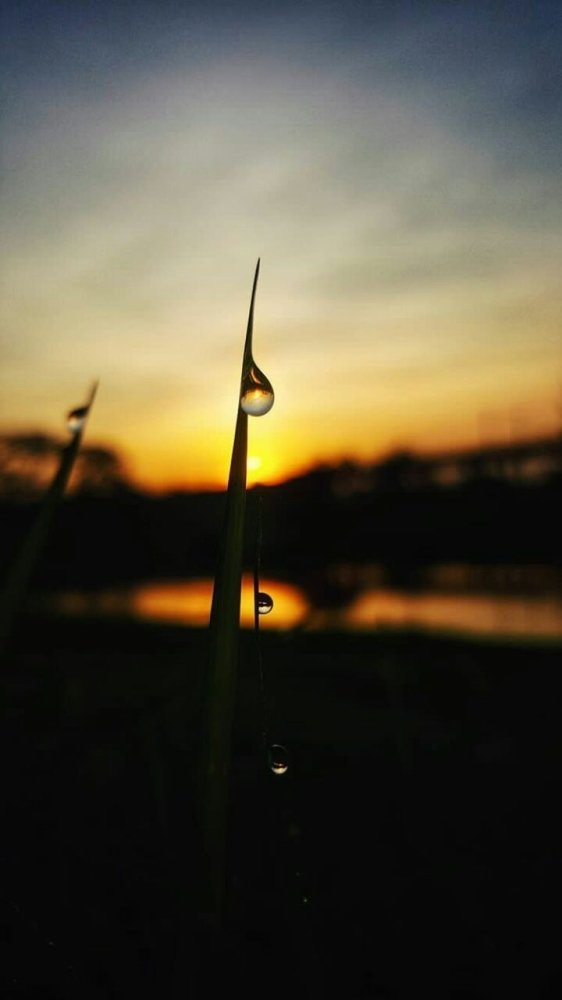 Фотография автора RAJENDRAN VINISHA