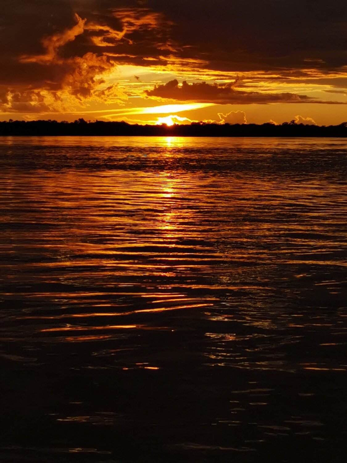 The best sunset