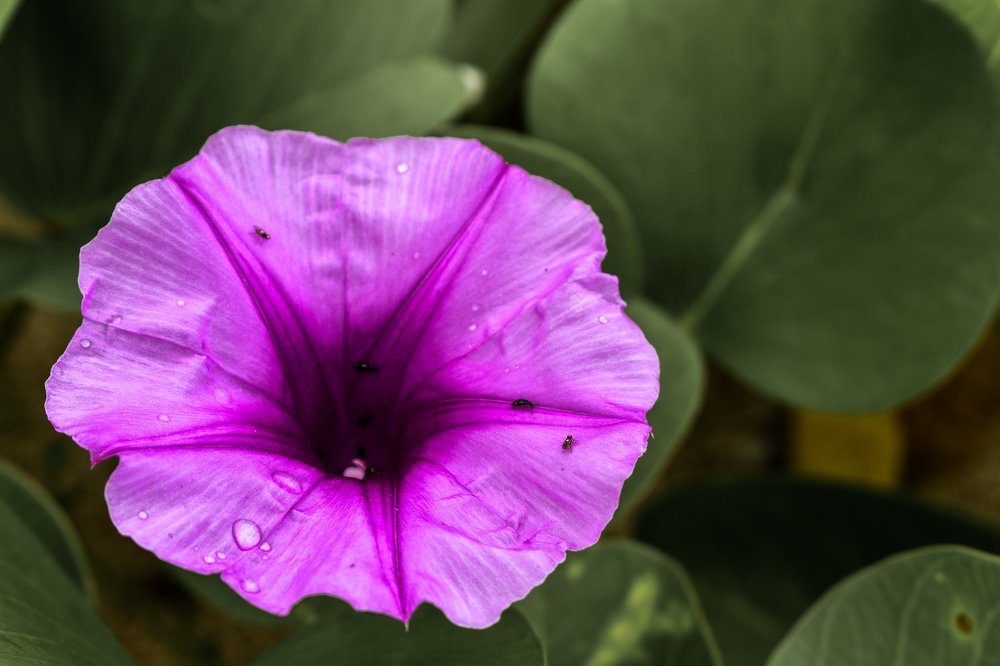 Photograph by Yannah Tekwie