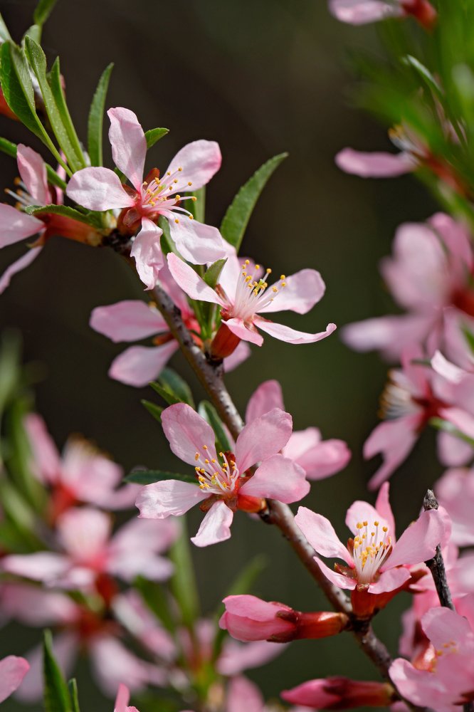 Фотография автора Алексей Попов