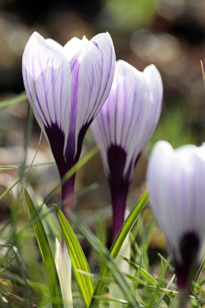 Фотография автора Алексей Попов