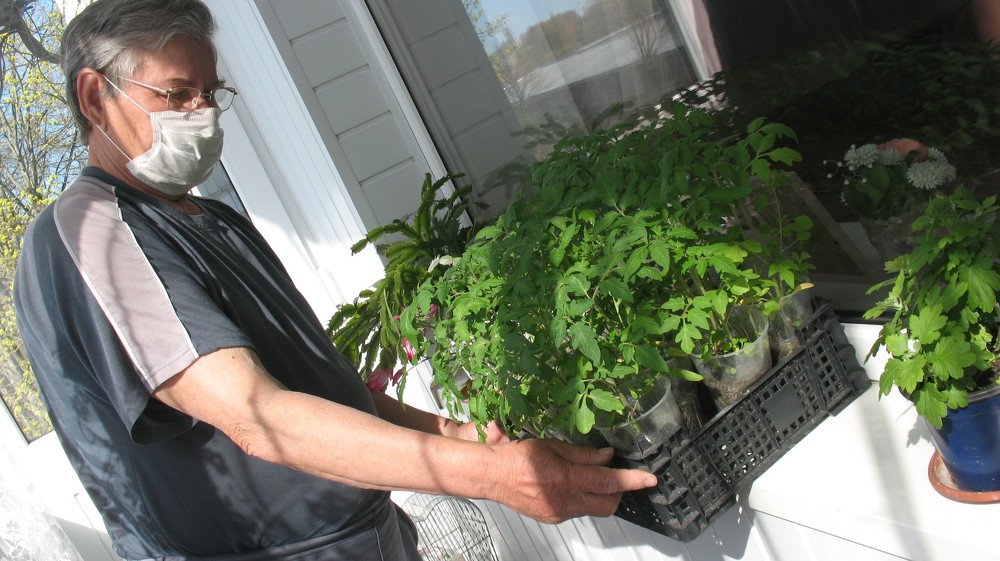 Ну, настоящая самоизоляция!