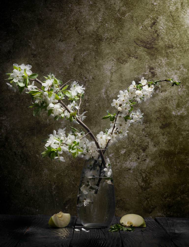 Photograph by Михаил Кудрявцев