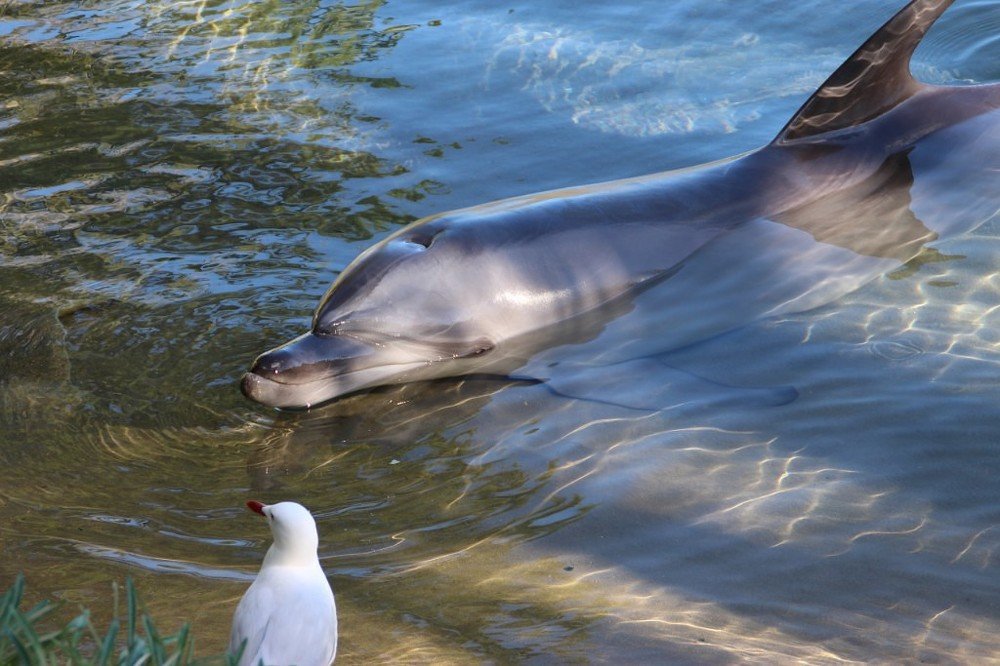 Встреча с другом