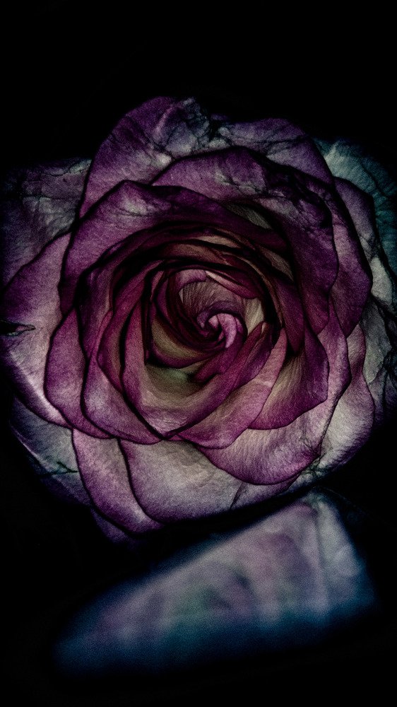 Photograph by Алёна Лысенко