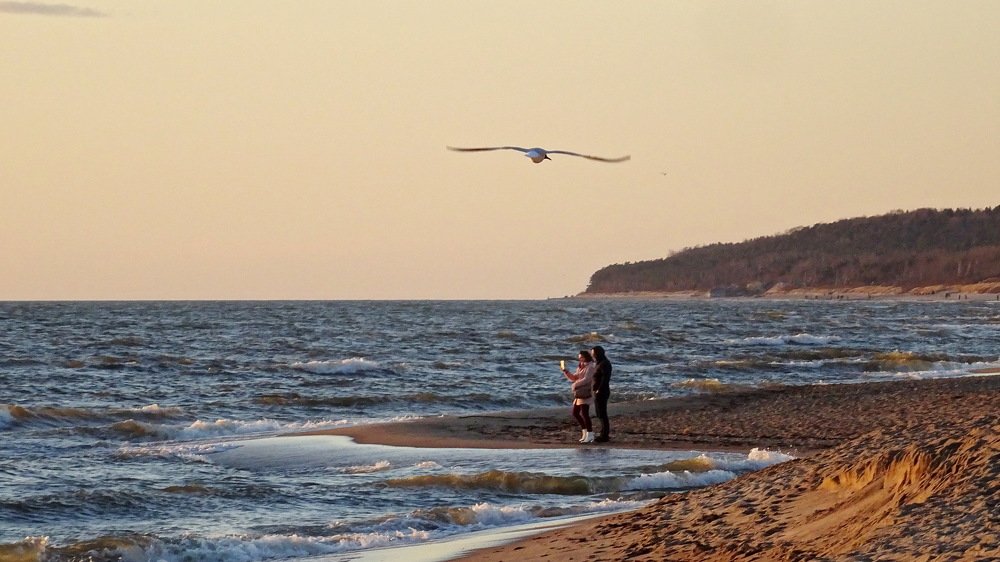 Photograph by Евгений Евдокимов