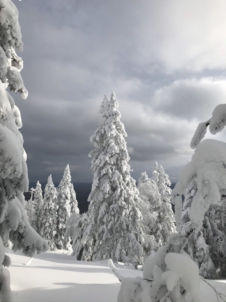 Photograph by Галина