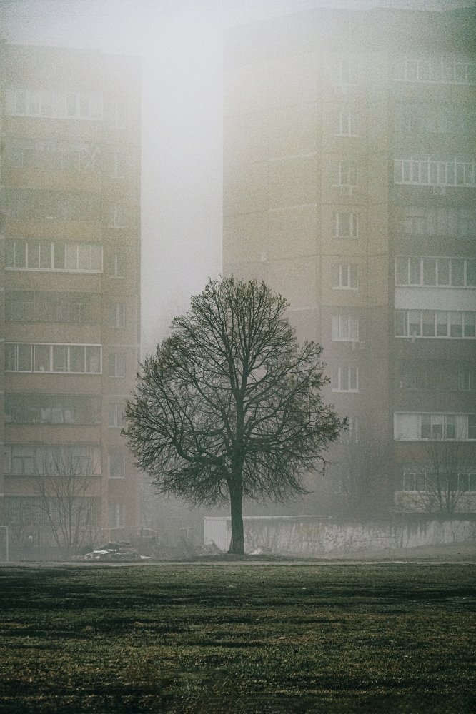 Photograph by Рина Михайлова