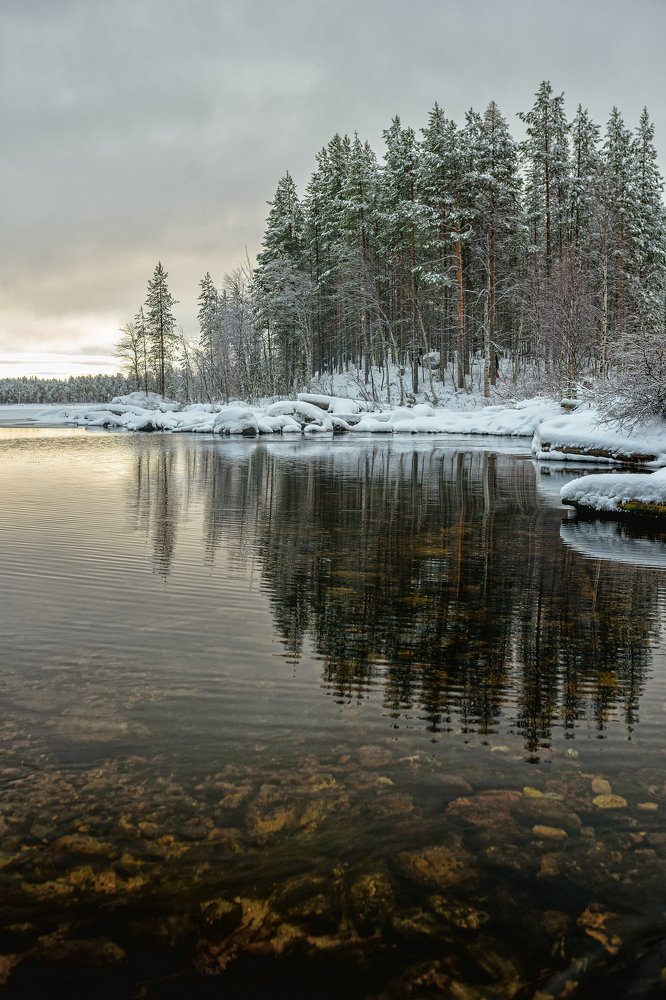 Photograph by Юлия Шестопалова