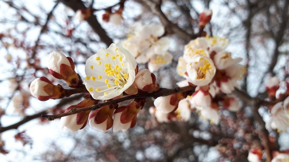 Весна... Пробуждение...