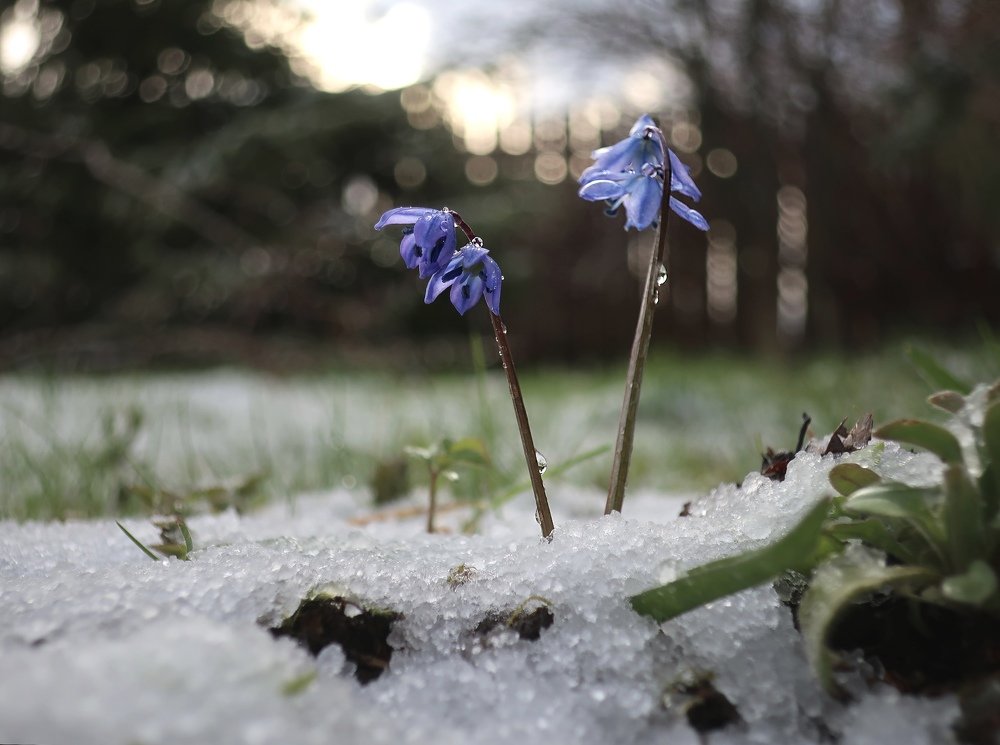 Photograph by Юлия Орлова