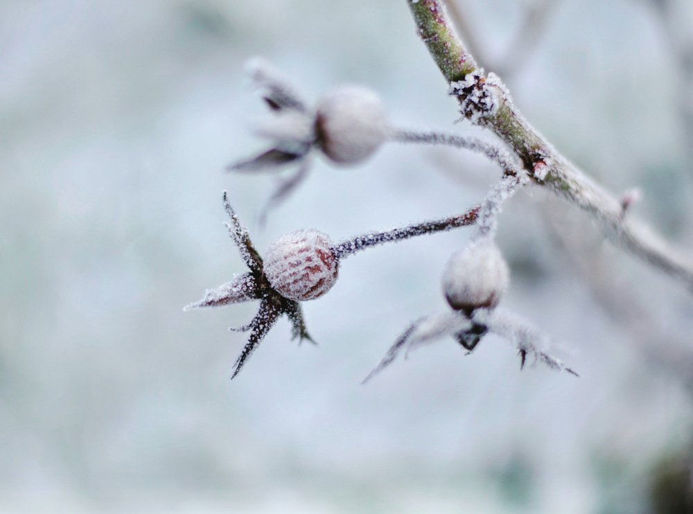 Photograph by Юлия Орлова