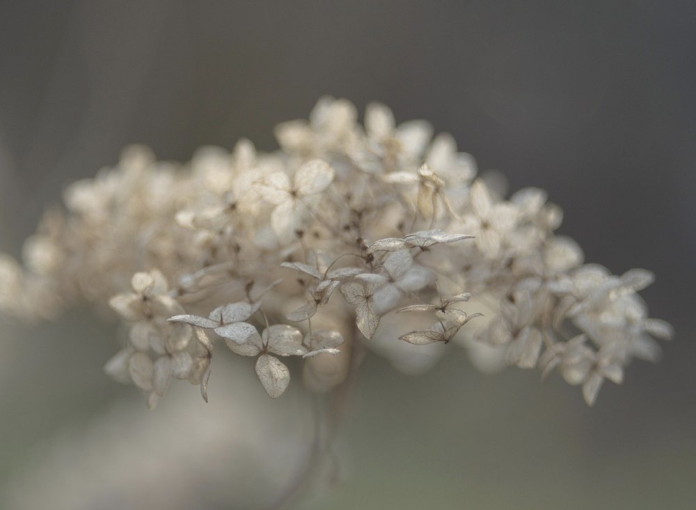 Photograph by Юлия Орлова