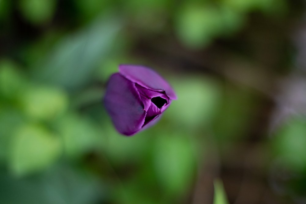 Photograph by Amra Kunduklija