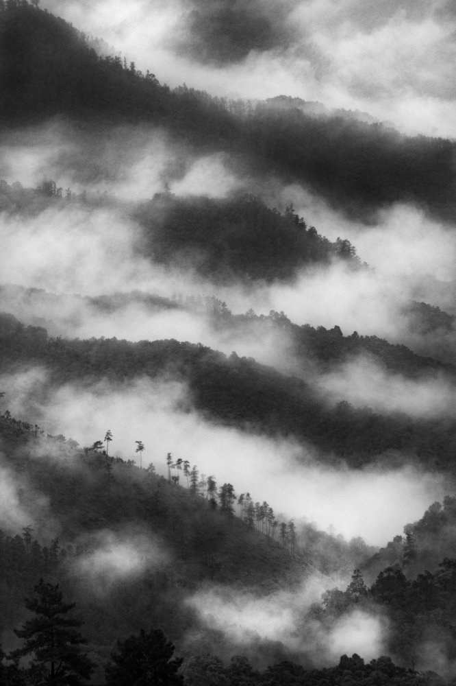 The hills